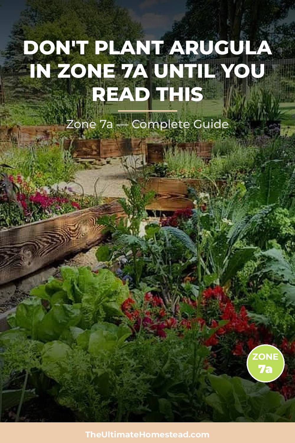 When to Plant Arugula in Zone 7a