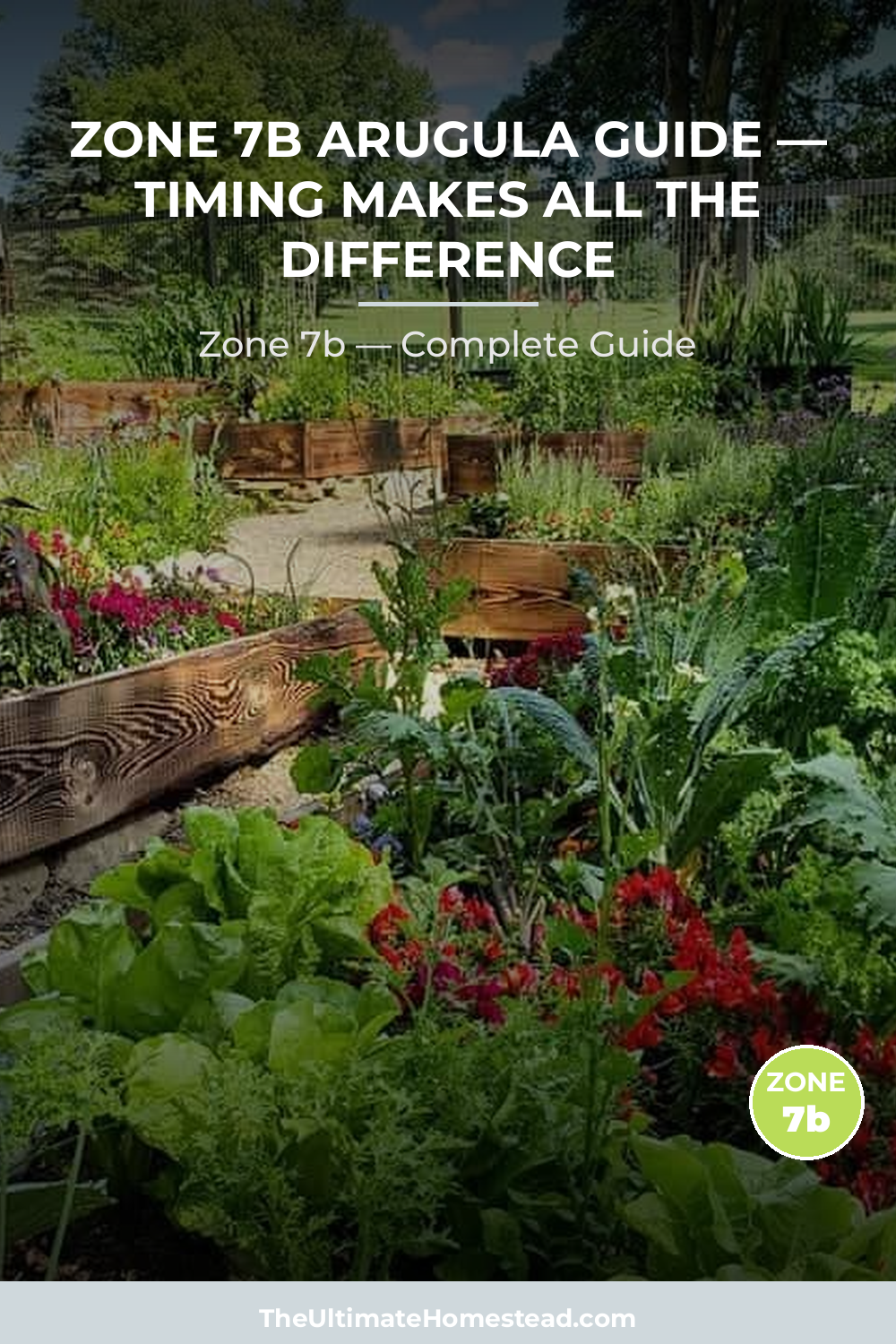 When to Plant Arugula in Zone 7b