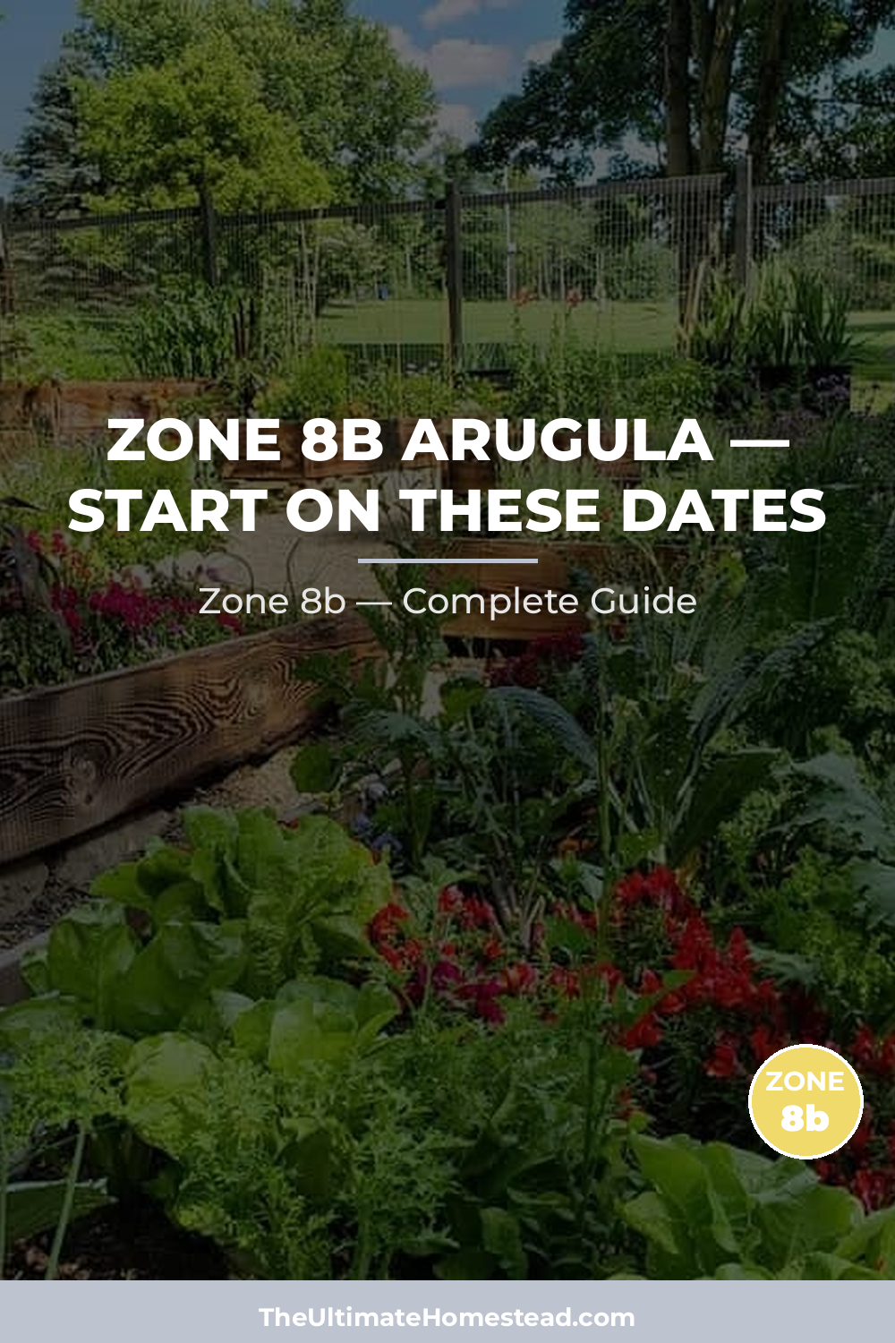 When to Plant Arugula in Zone 8b