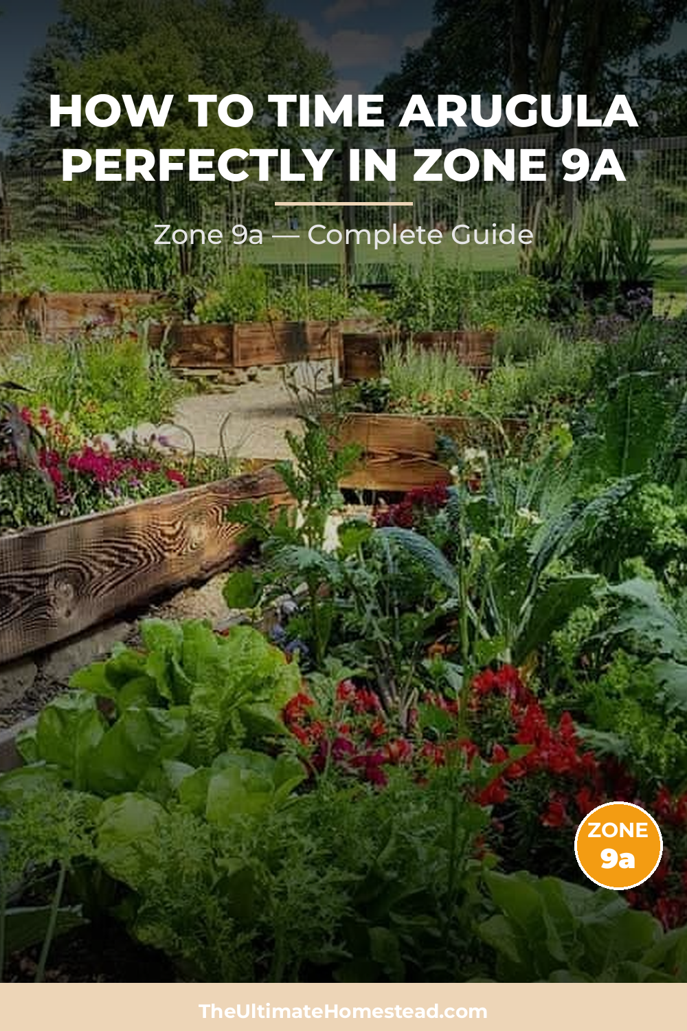 When to Plant Arugula in Zone 9a