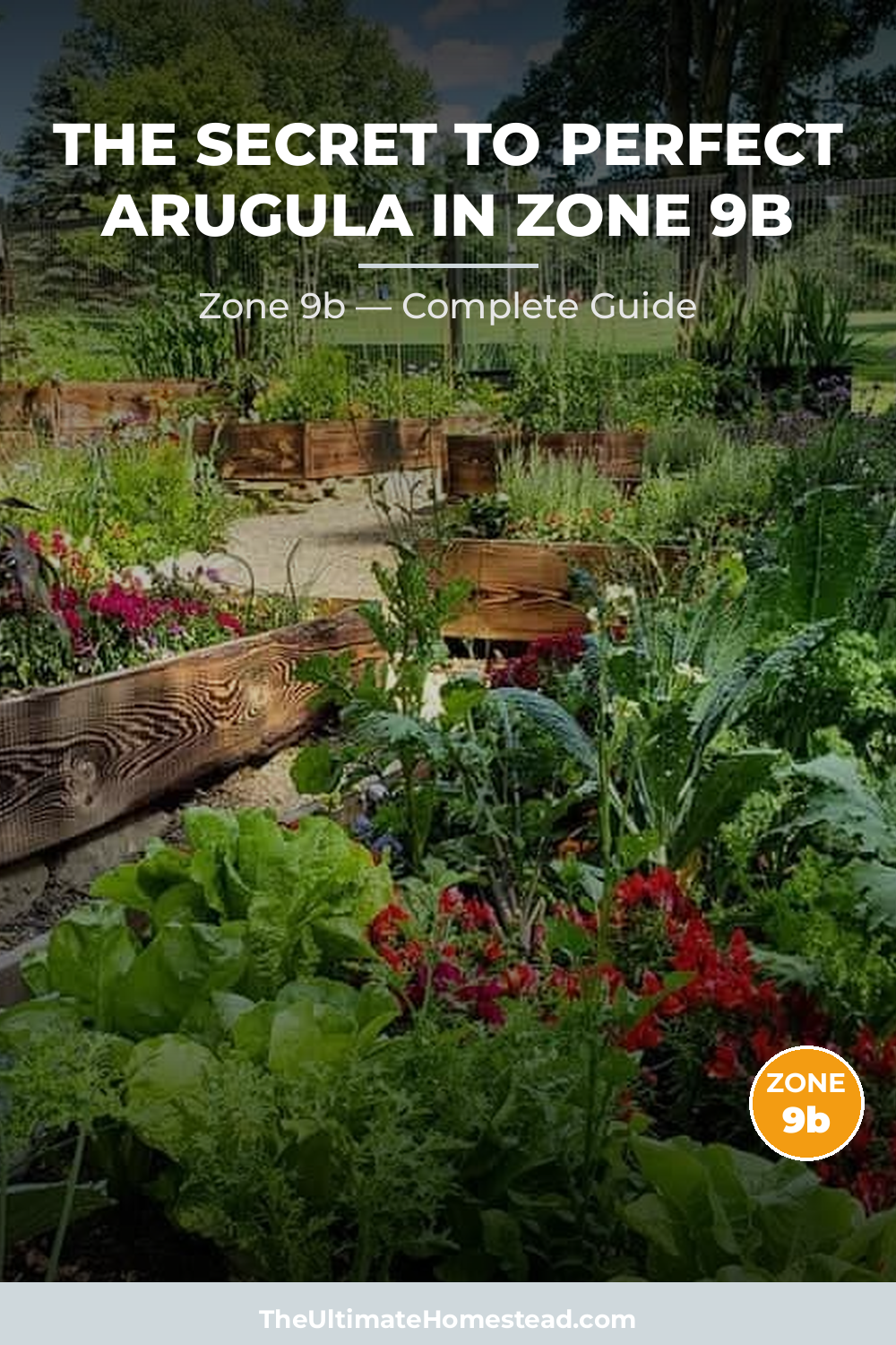 When to Plant Arugula in Zone 9b