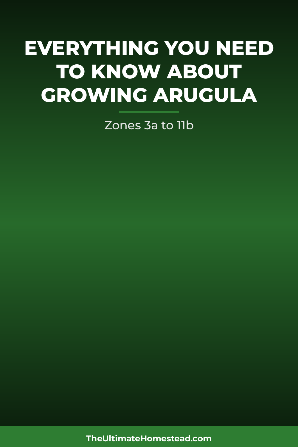 Arugula Planting Guide