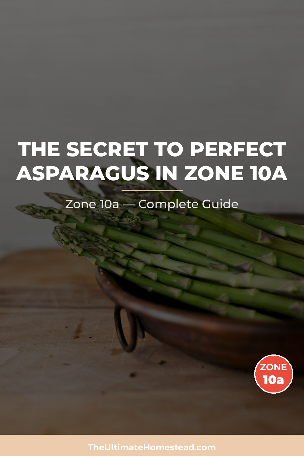 When to Plant Asparagus in Zone 10a