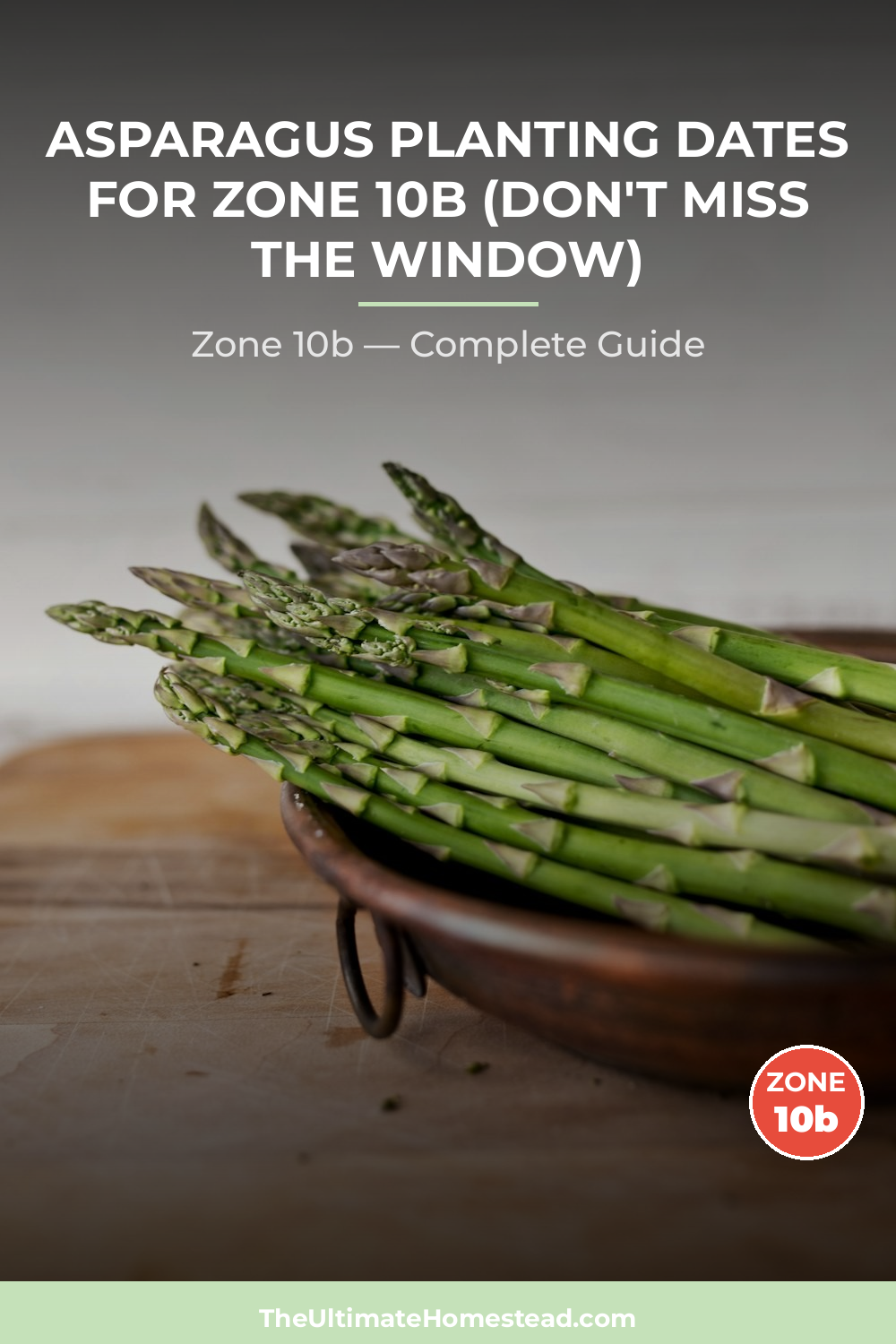 When to Plant Asparagus in Zone 10b