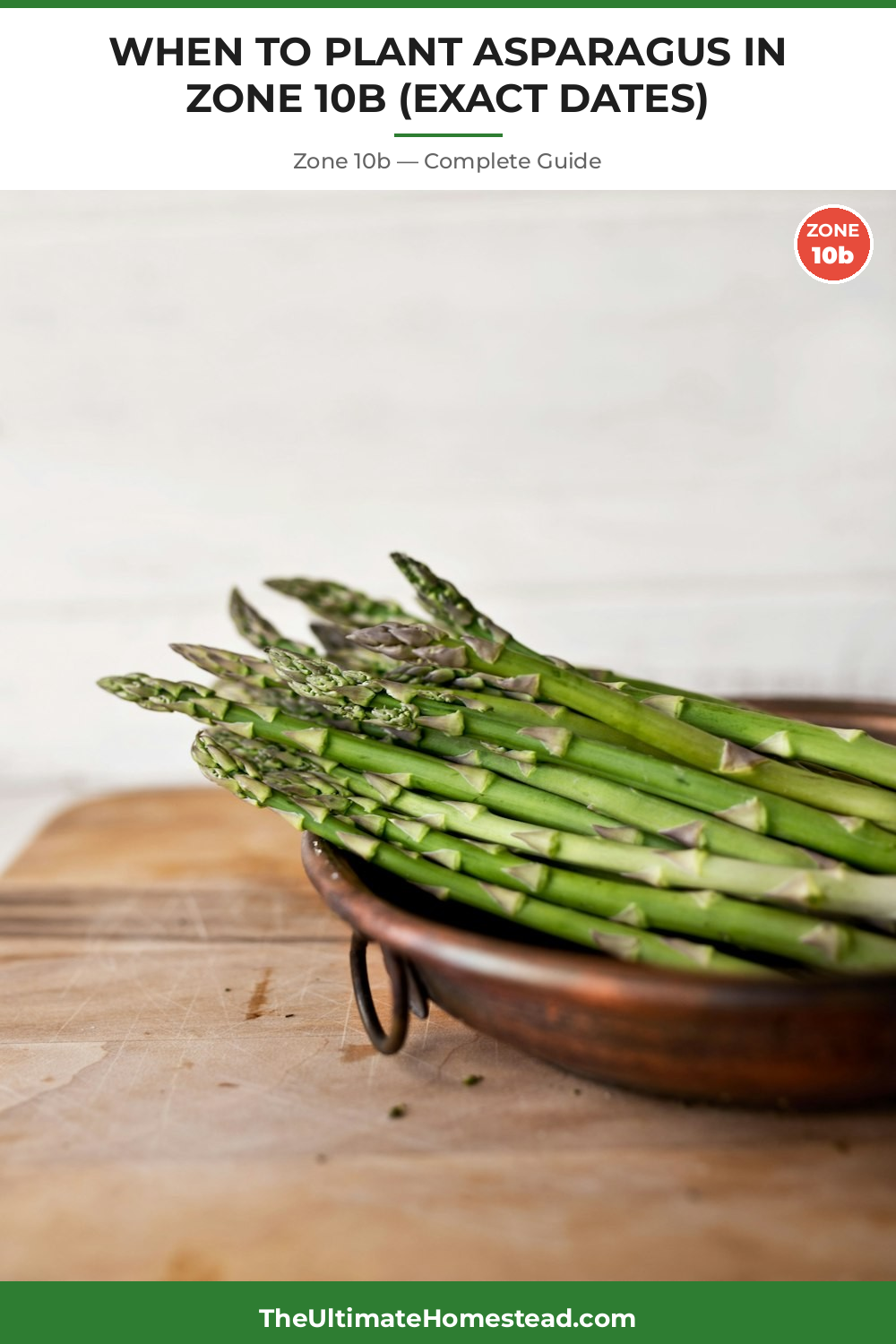 When to Plant Asparagus in Zone 10b