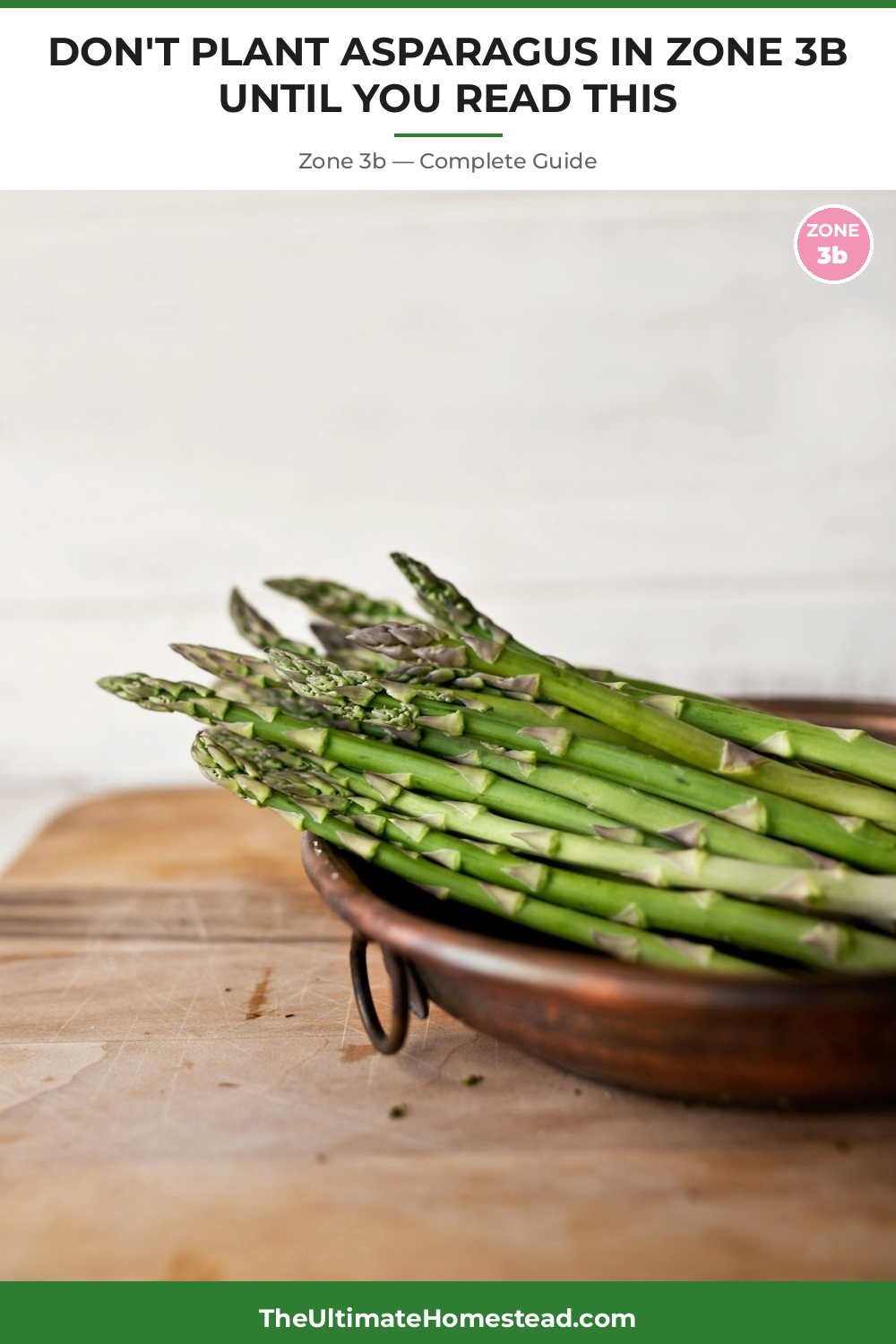 When to Plant Asparagus in Zone 3b