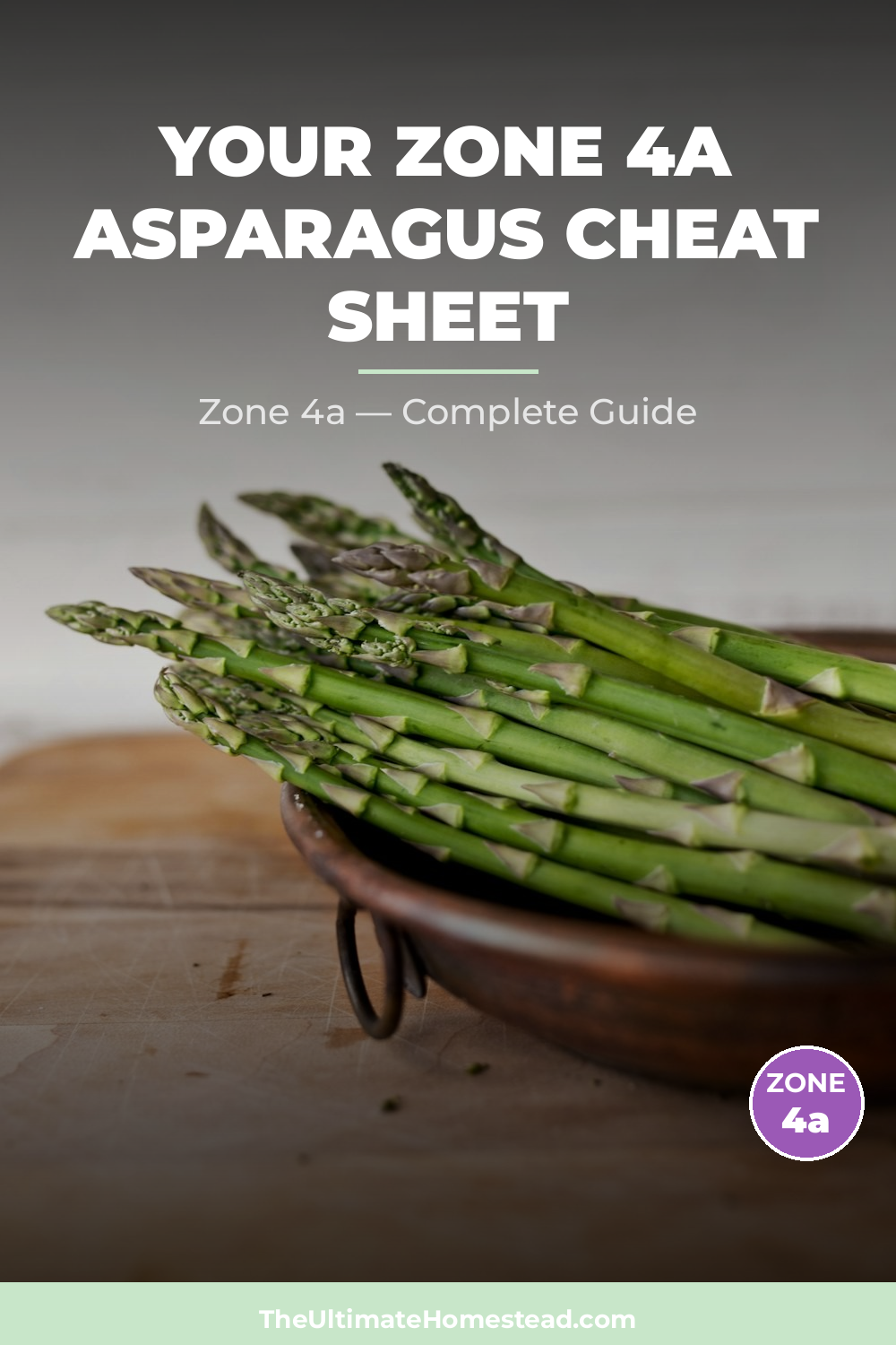 When to Plant Asparagus in Zone 4a