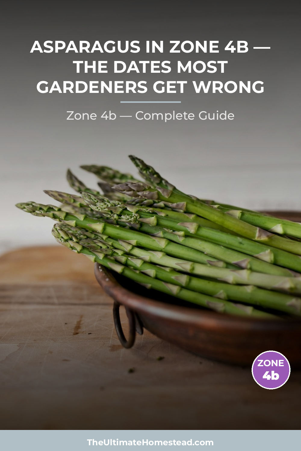 When to Plant Asparagus in Zone 4b