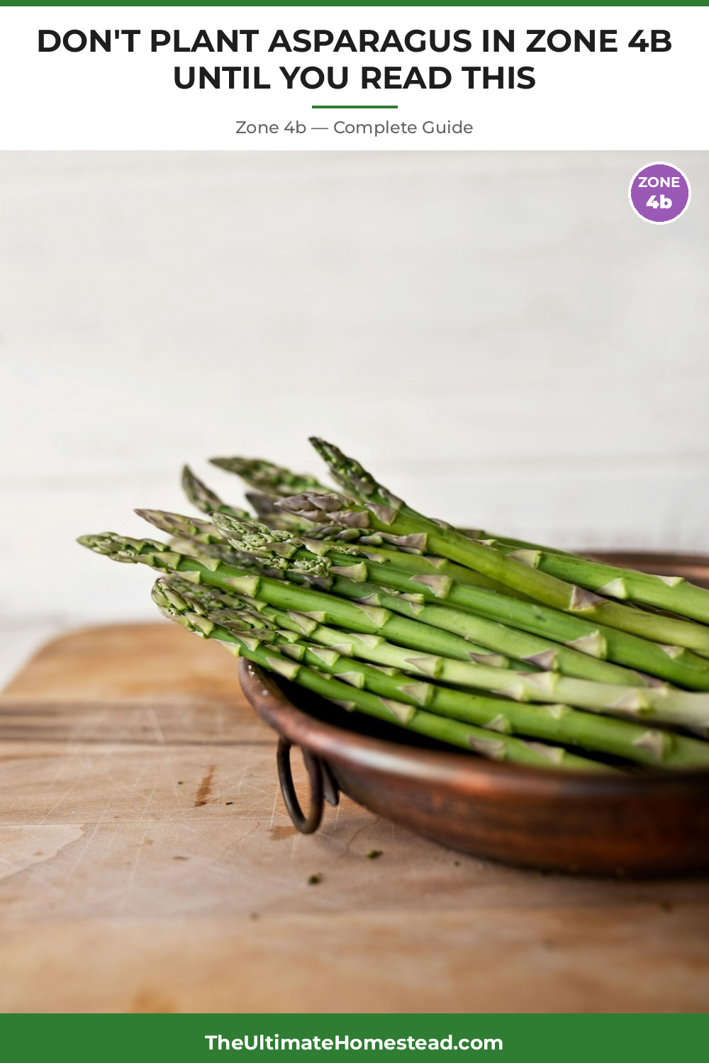 When to Plant Asparagus in Zone 4b