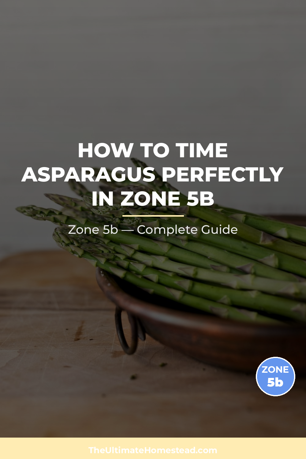 When to Plant Asparagus in Zone 5b
