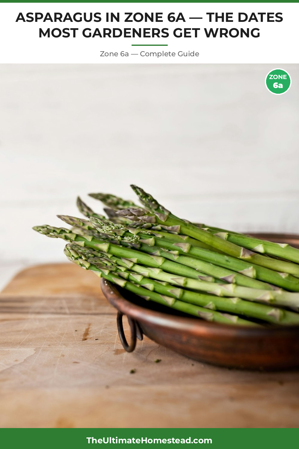 When to Plant Asparagus in Zone 6a
