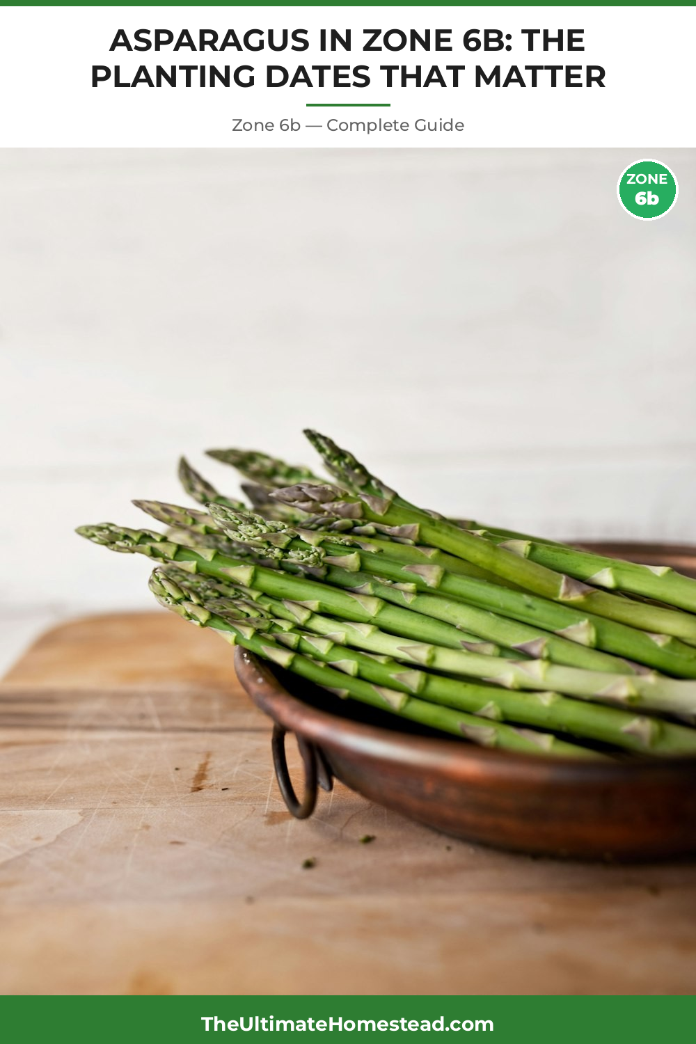 When to Plant Asparagus in Zone 6b
