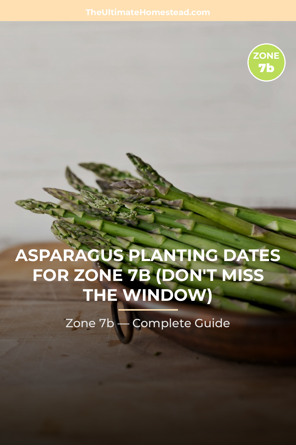 When to Plant Asparagus in Zone 7b