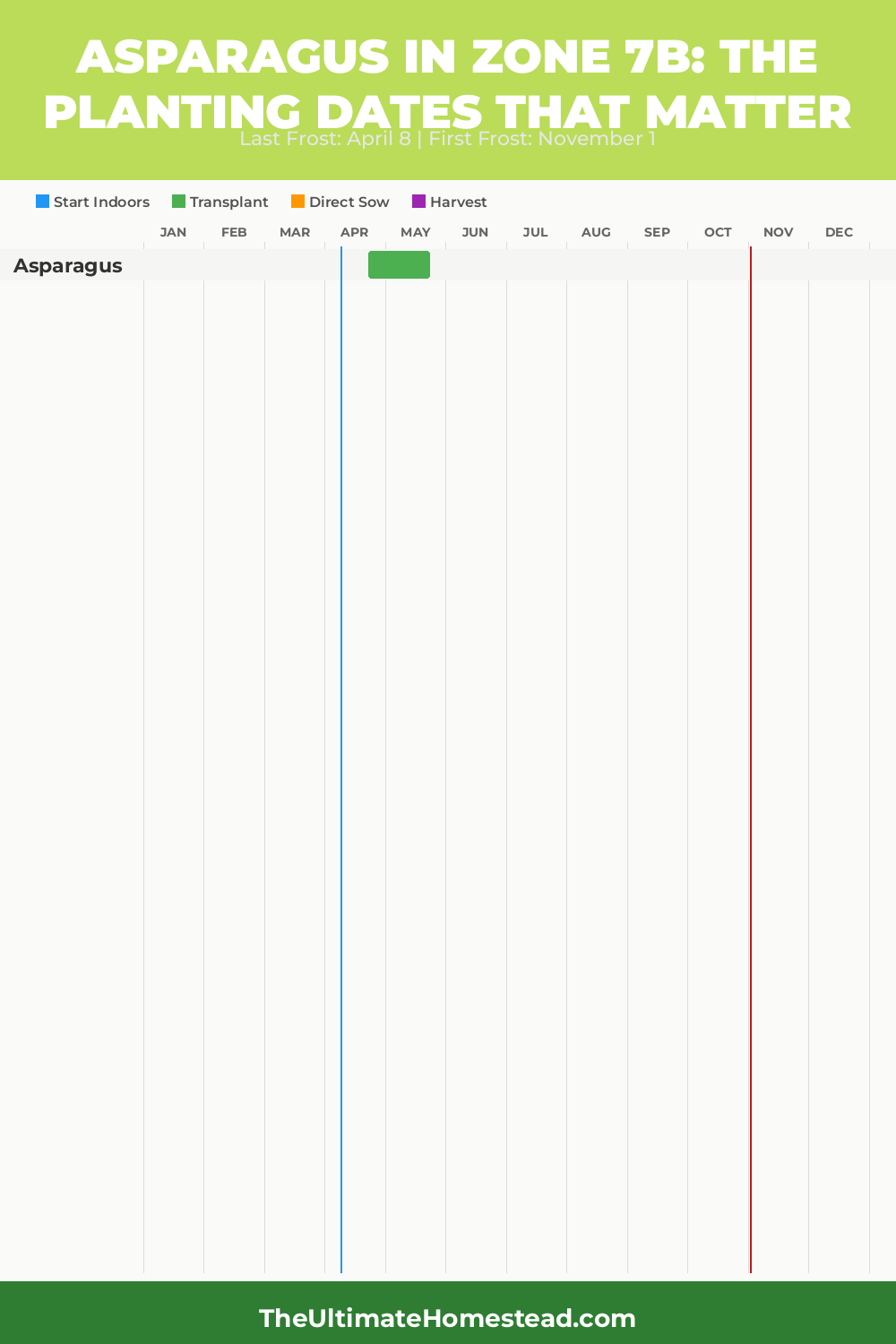 When to Plant Asparagus in Zone 7b
