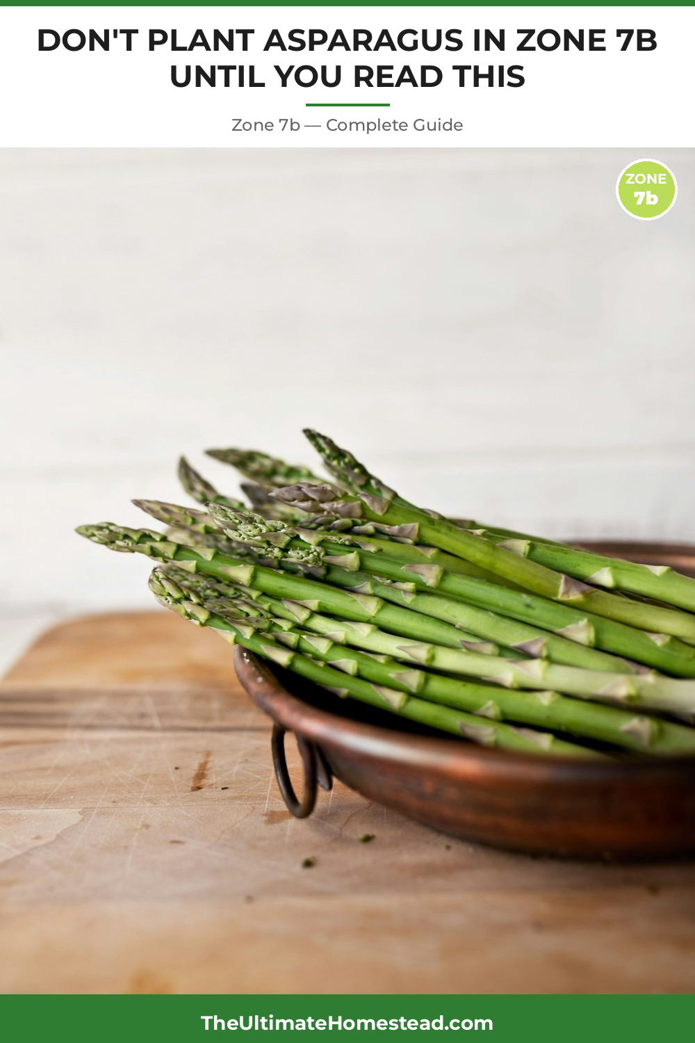 When to Plant Asparagus in Zone 7b