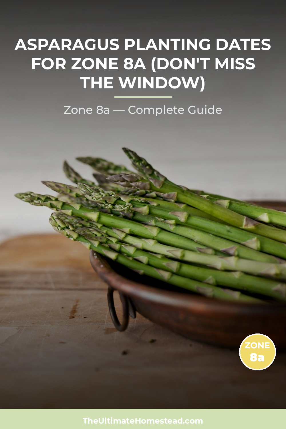 When to Plant Asparagus in Zone 8a