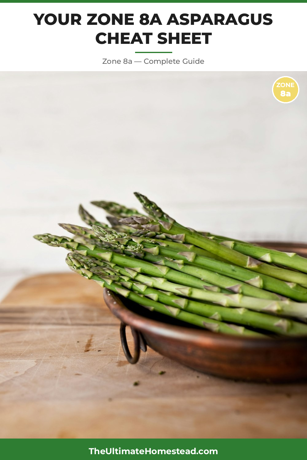 When to Plant Asparagus in Zone 8a