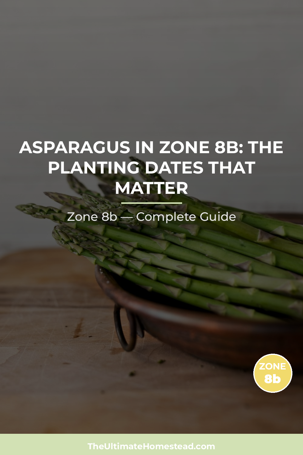 When to Plant Asparagus in Zone 8b