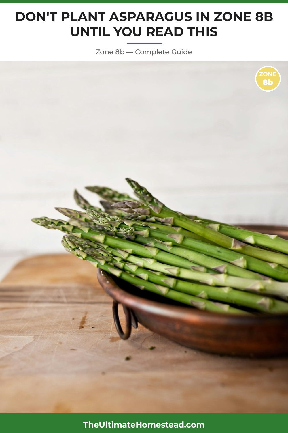 When to Plant Asparagus in Zone 8b
