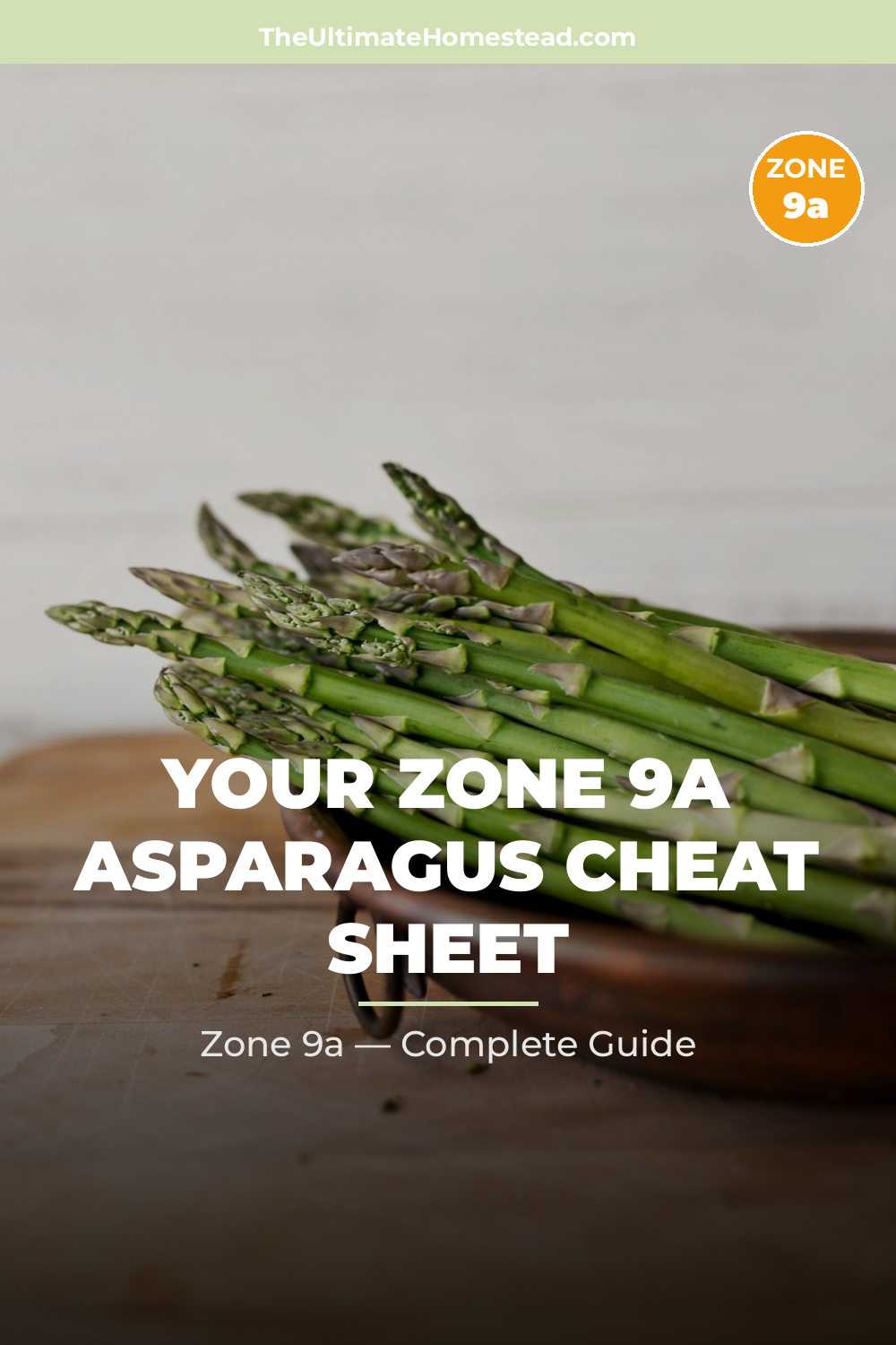 When to Plant Asparagus in Zone 9a