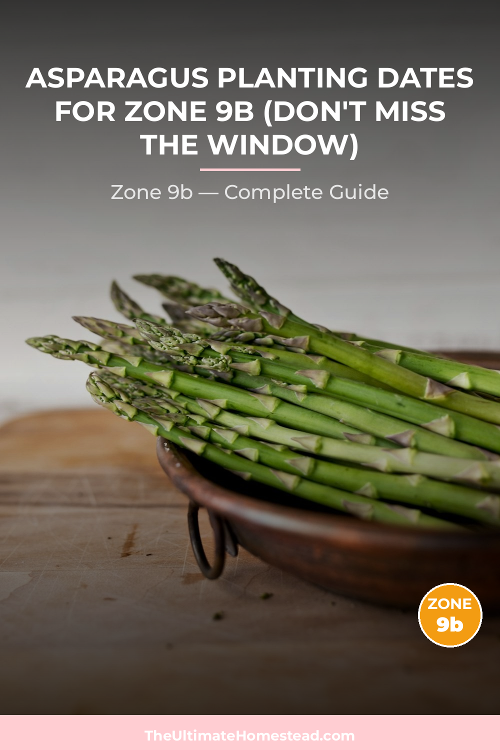 When to Plant Asparagus in Zone 9b