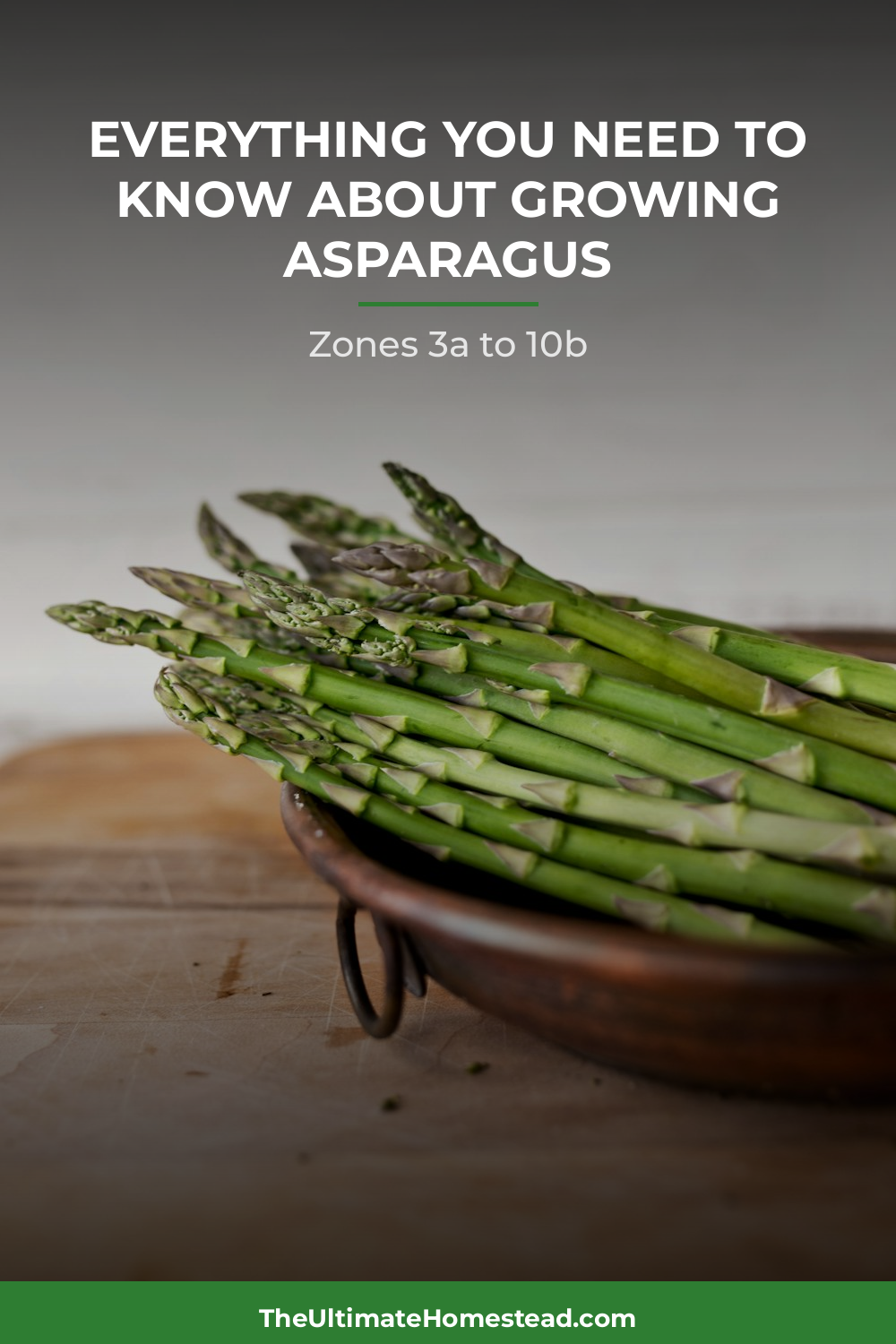 Asparagus Planting Guide
