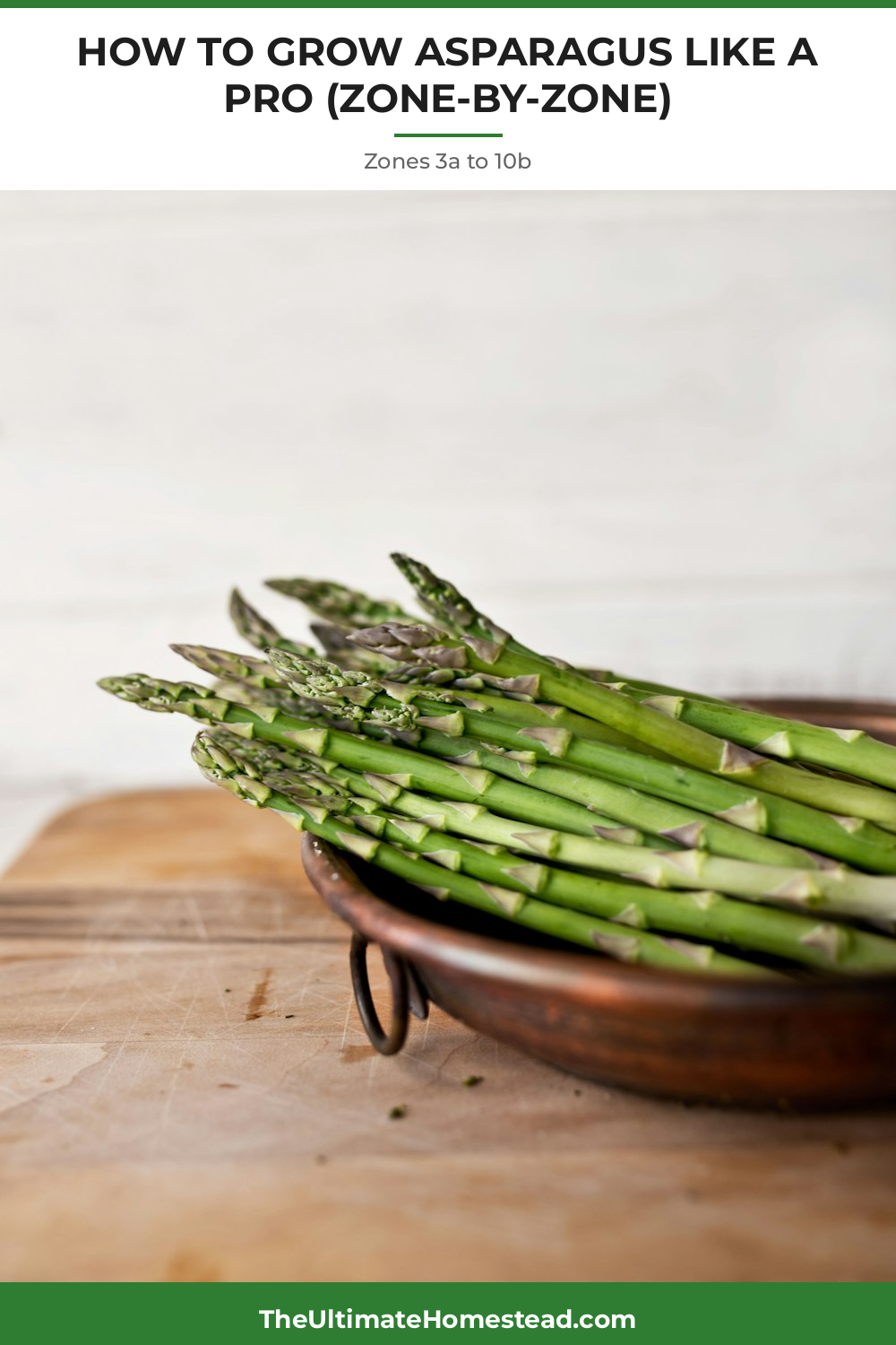 Asparagus Planting Guide