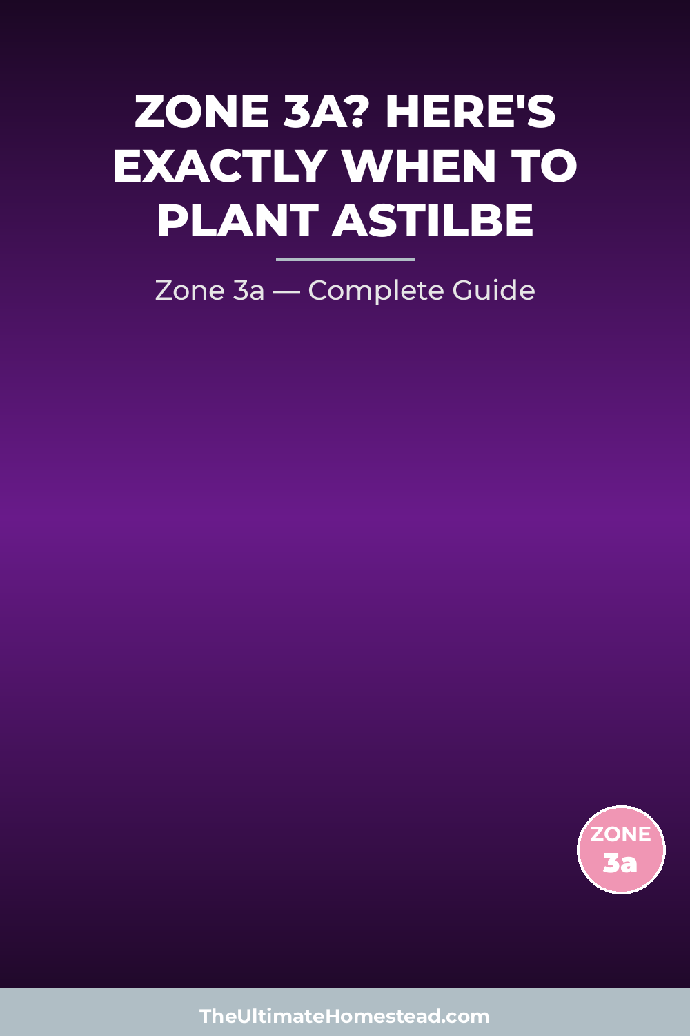 When to Plant Astilbe in Zone 3a