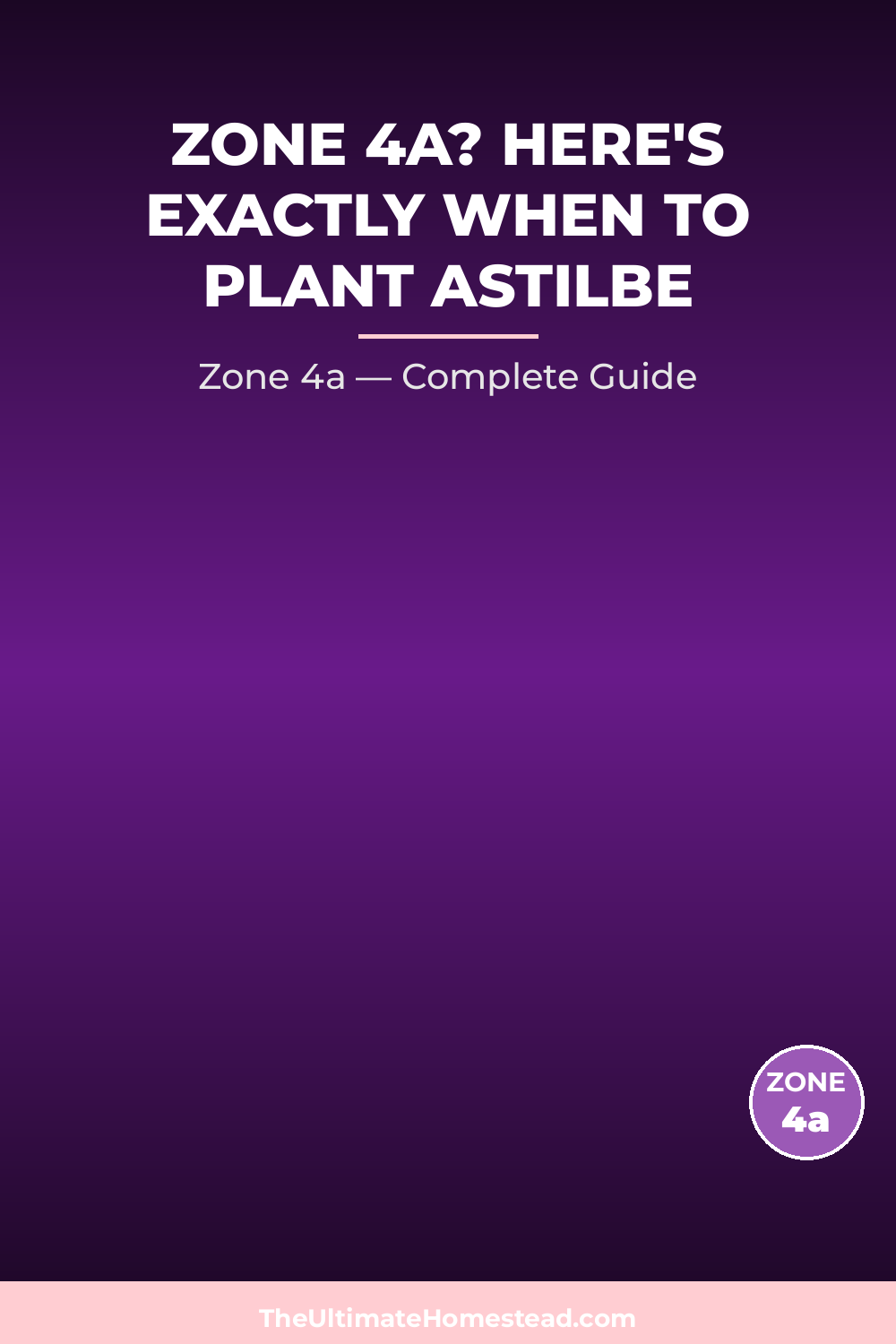 When to Plant Astilbe in Zone 4a