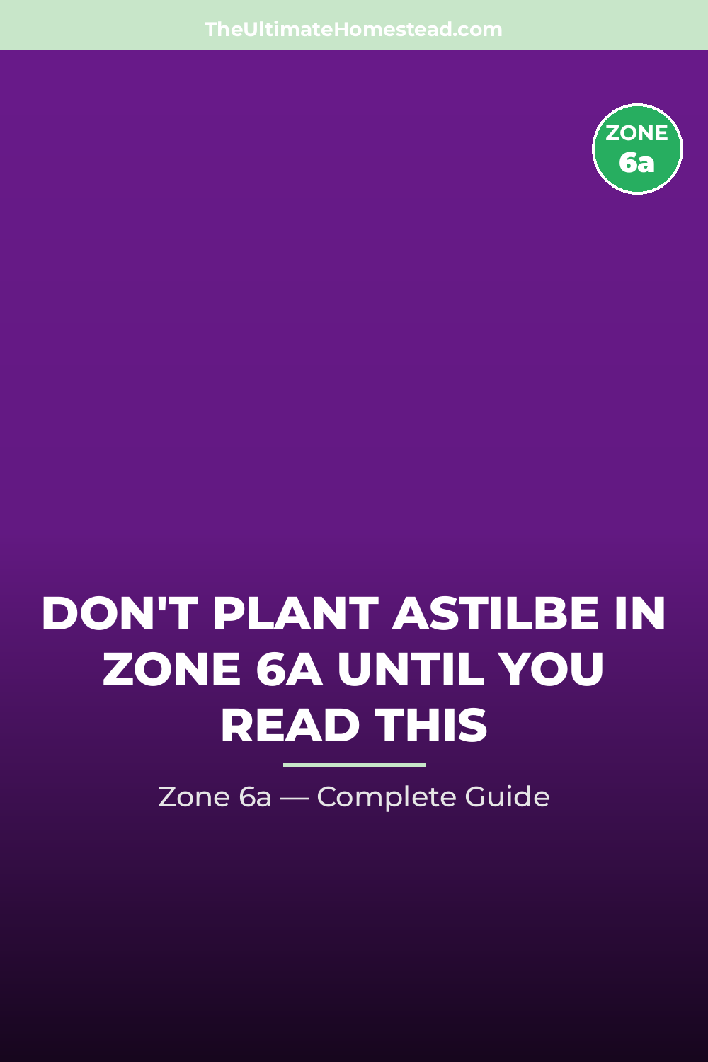 When to Plant Astilbe in Zone 6a