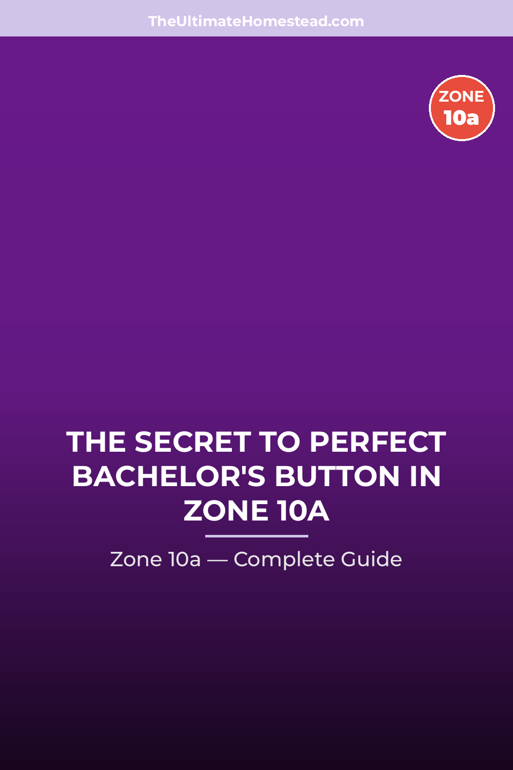 When to Plant Bachelor's Button in Zone 10a