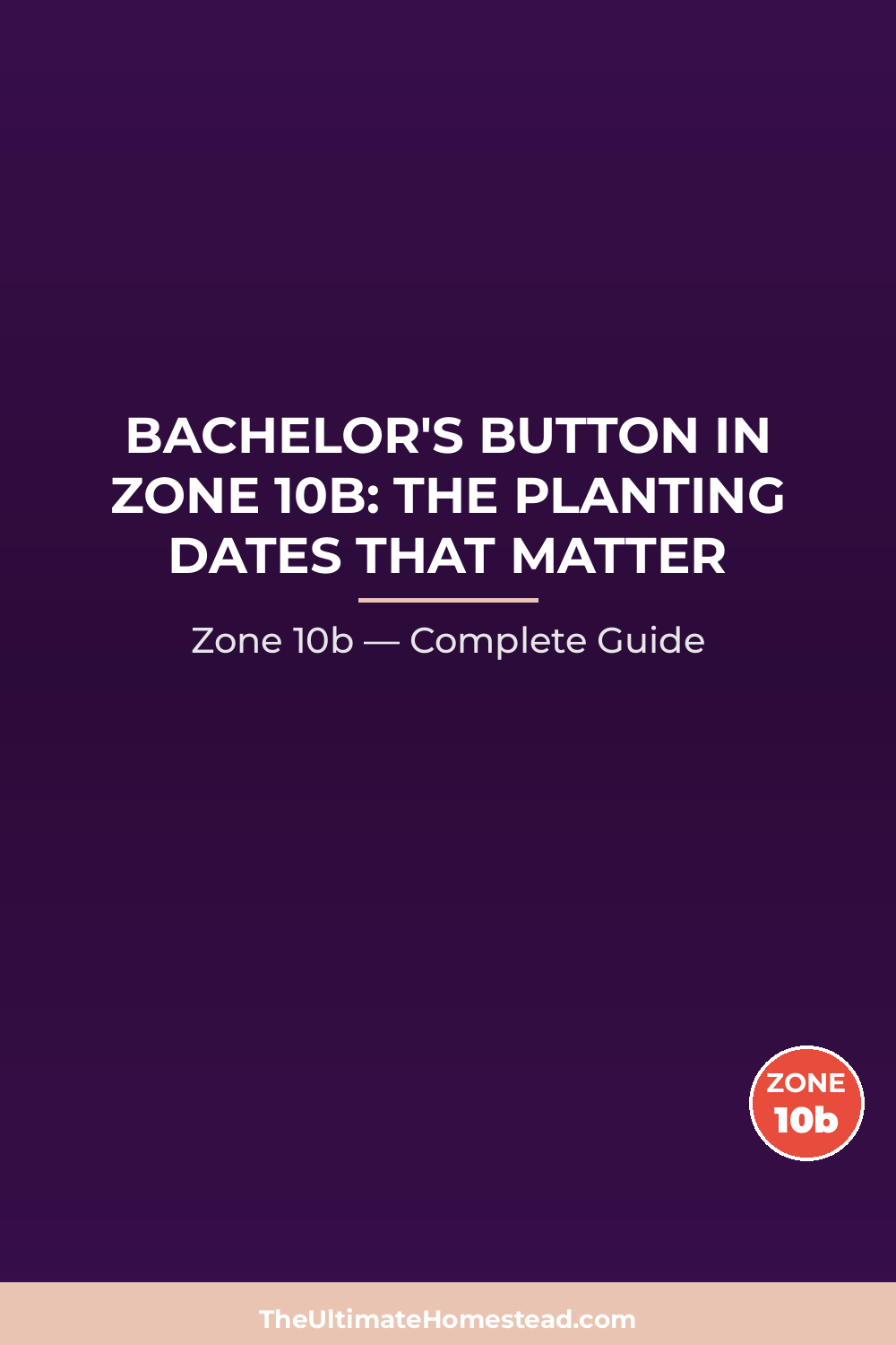 When to Plant Bachelor's Button in Zone 10b