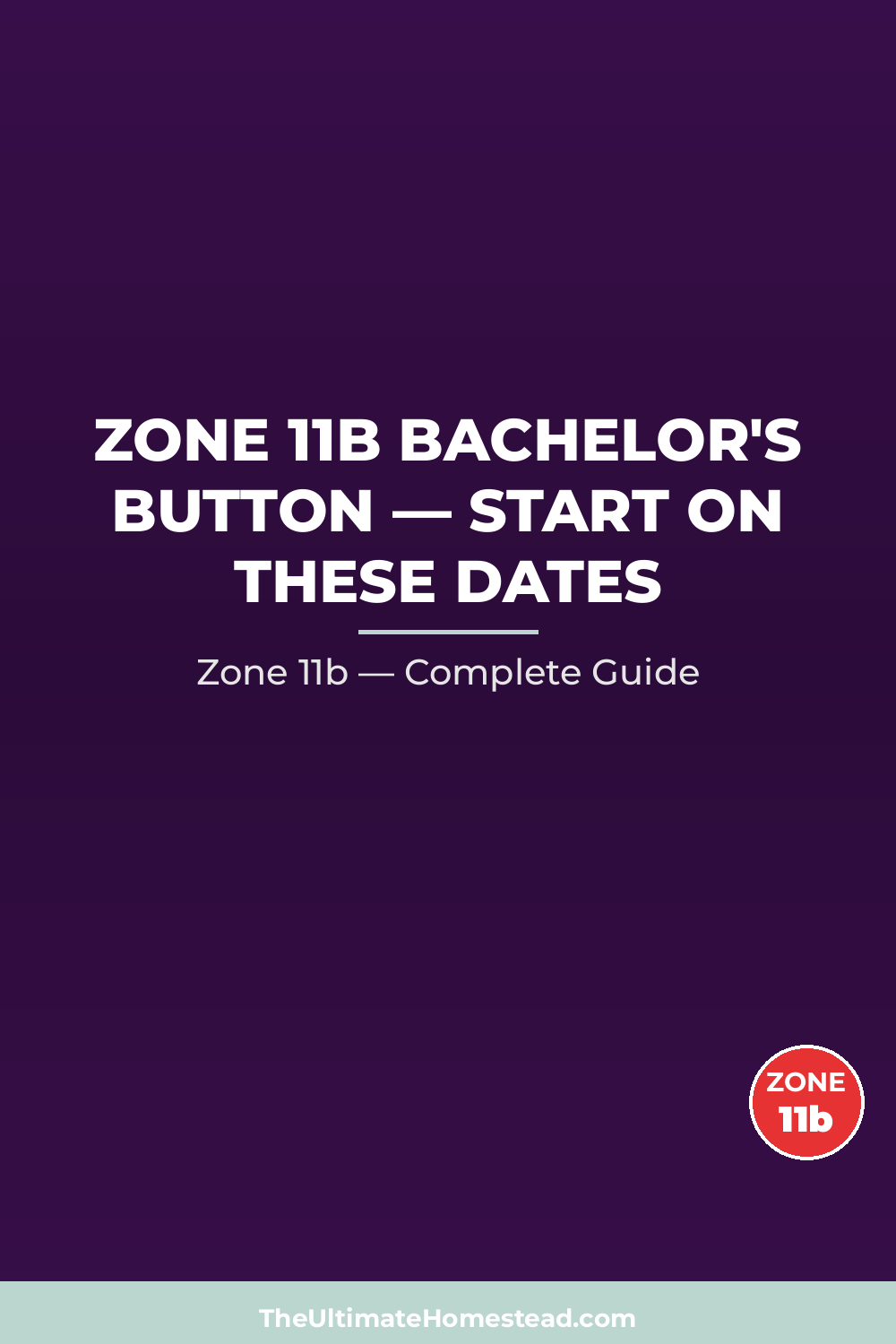When to Plant Bachelor's Button in Zone 11b