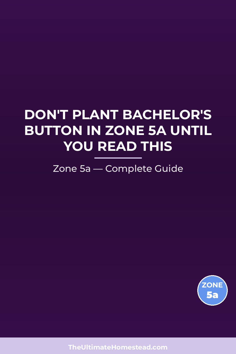 When to Plant Bachelor's Button in Zone 5a