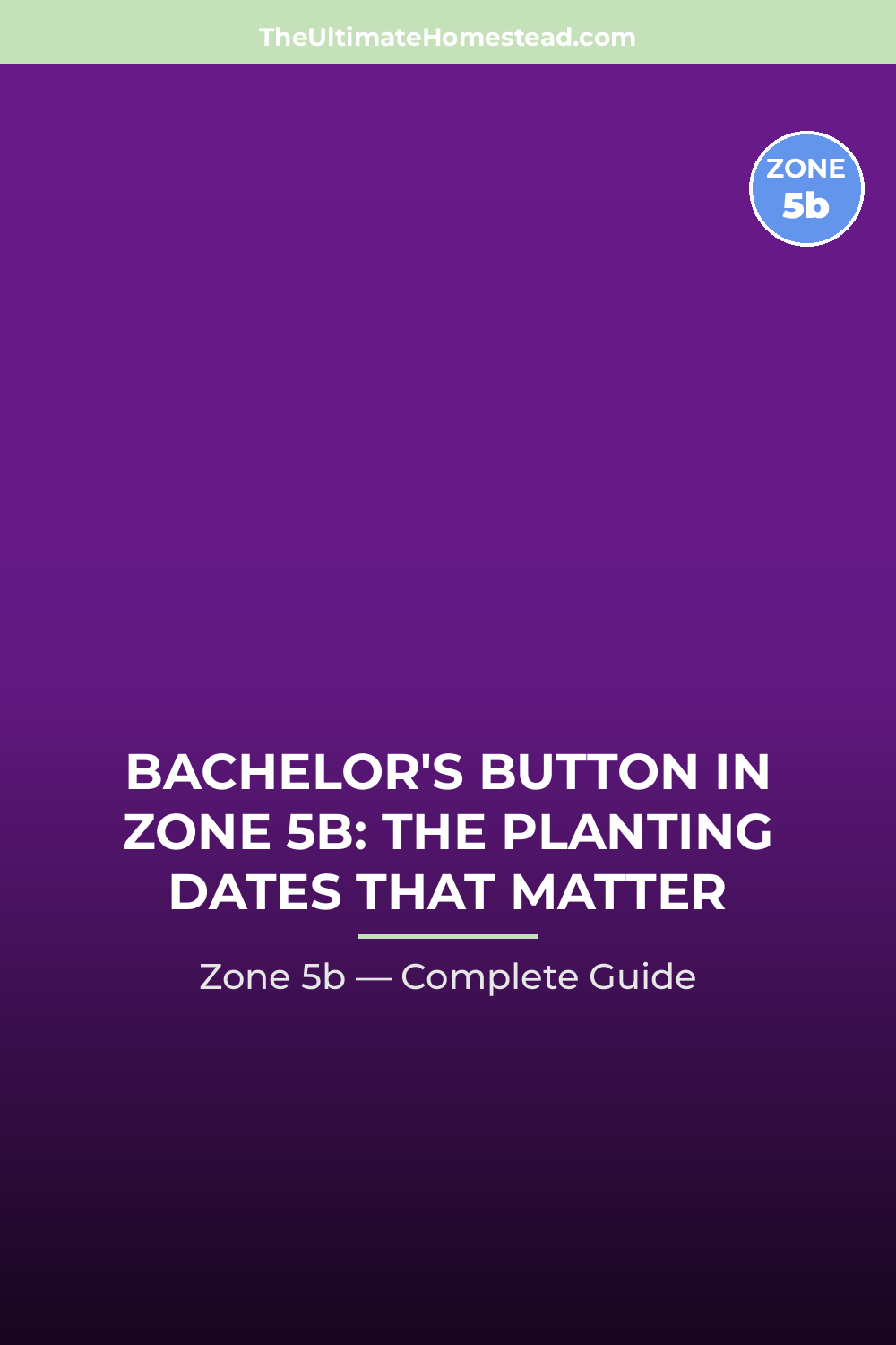 When to Plant Bachelor's Button in Zone 5b