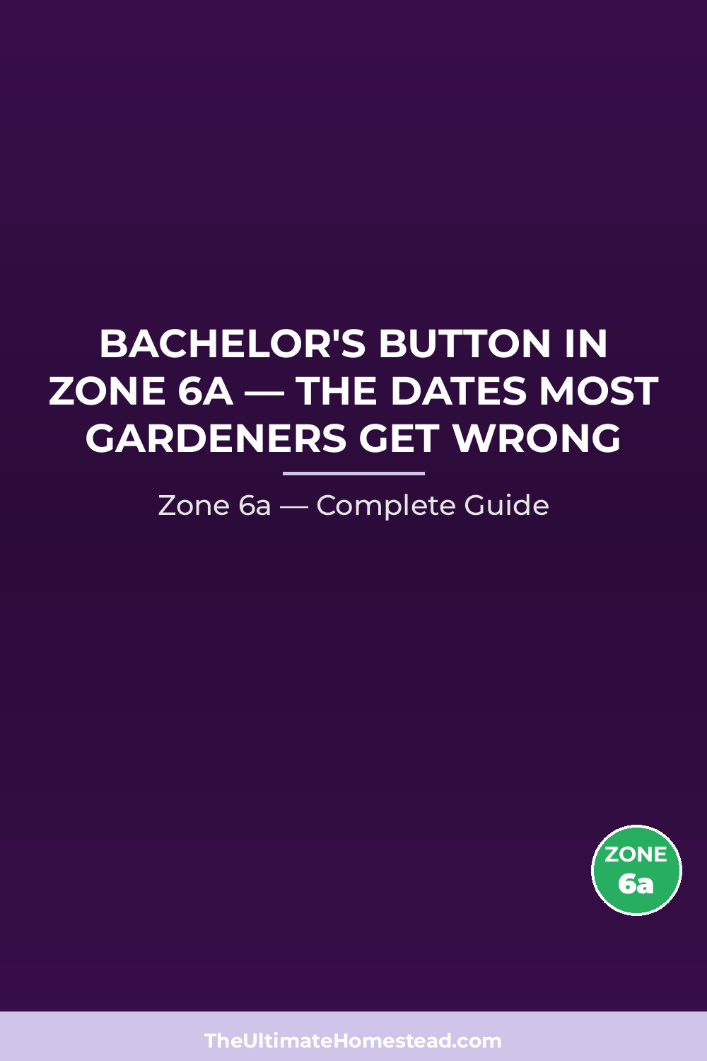 When to Plant Bachelor's Button in Zone 6a