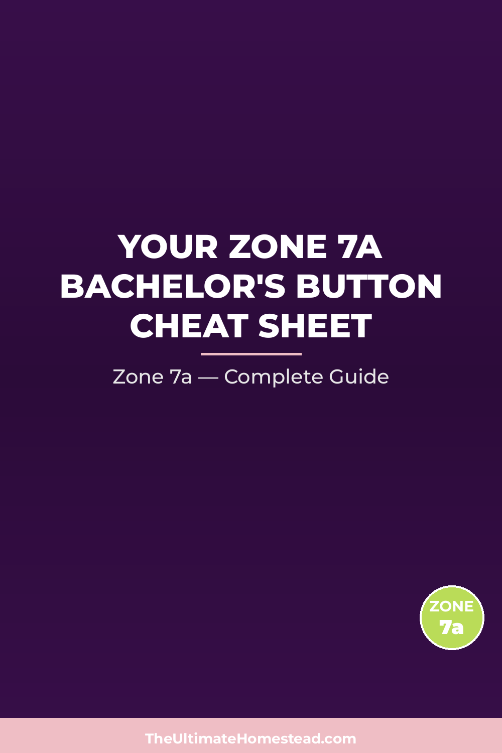 When to Plant Bachelor's Button in Zone 7a