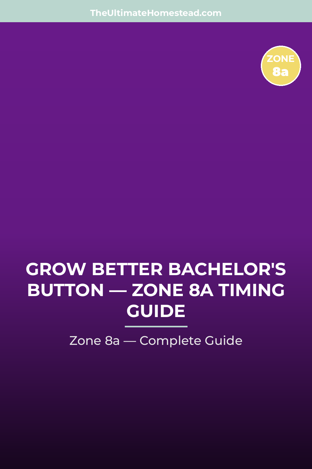 When to Plant Bachelor's Button in Zone 8a