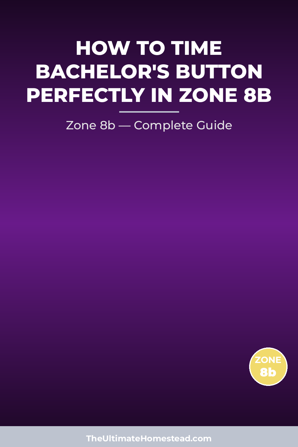 When to Plant Bachelor's Button in Zone 8b