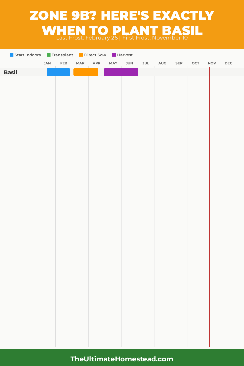When to Plant Basil in Zone 9b