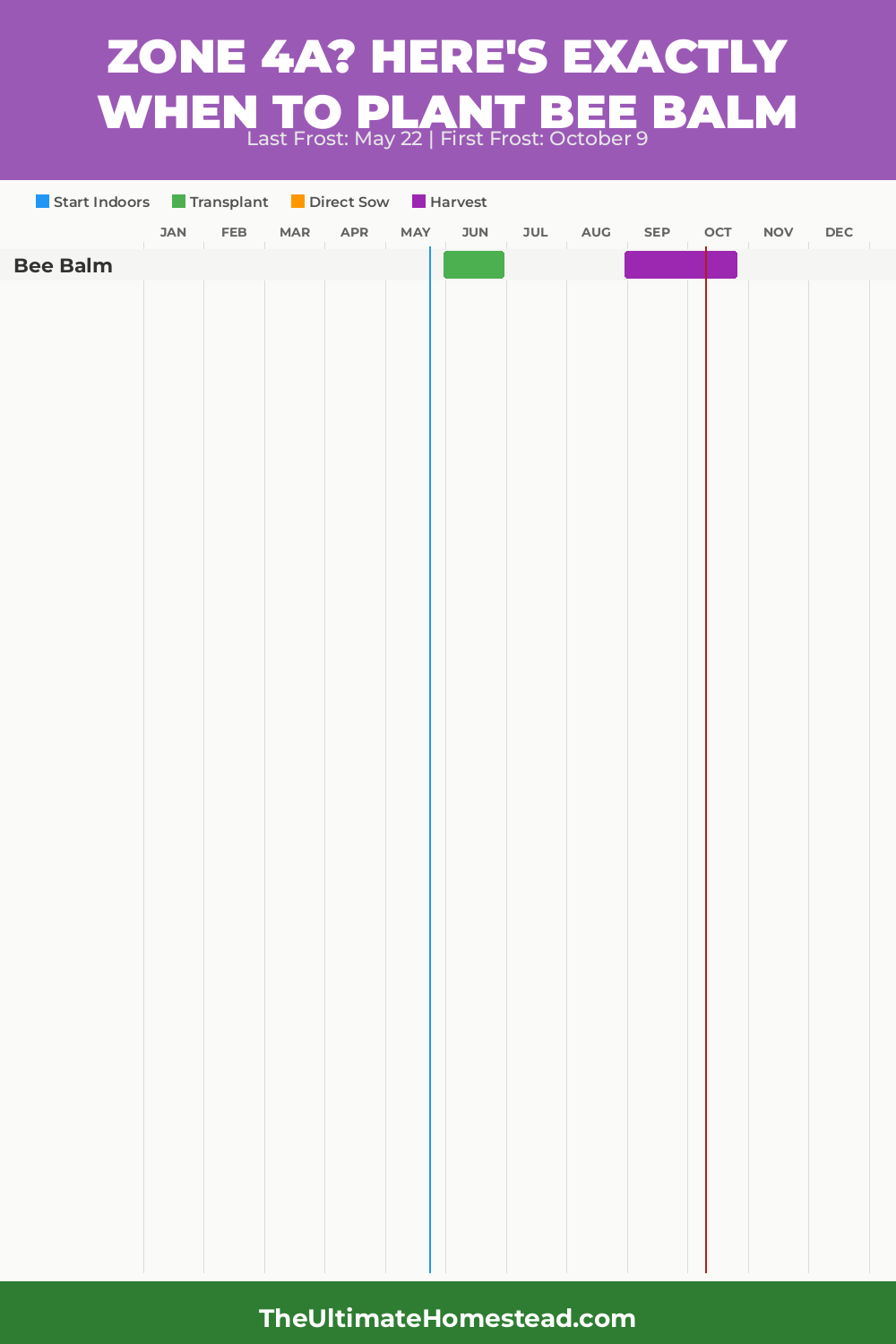 When to Plant Bee Balm in Zone 4a