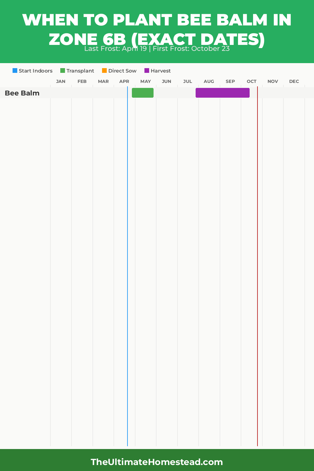 When to Plant Bee Balm in Zone 6b