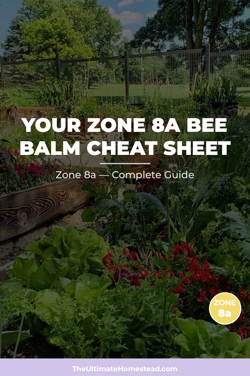When to Plant Bee Balm in Zone 8a
