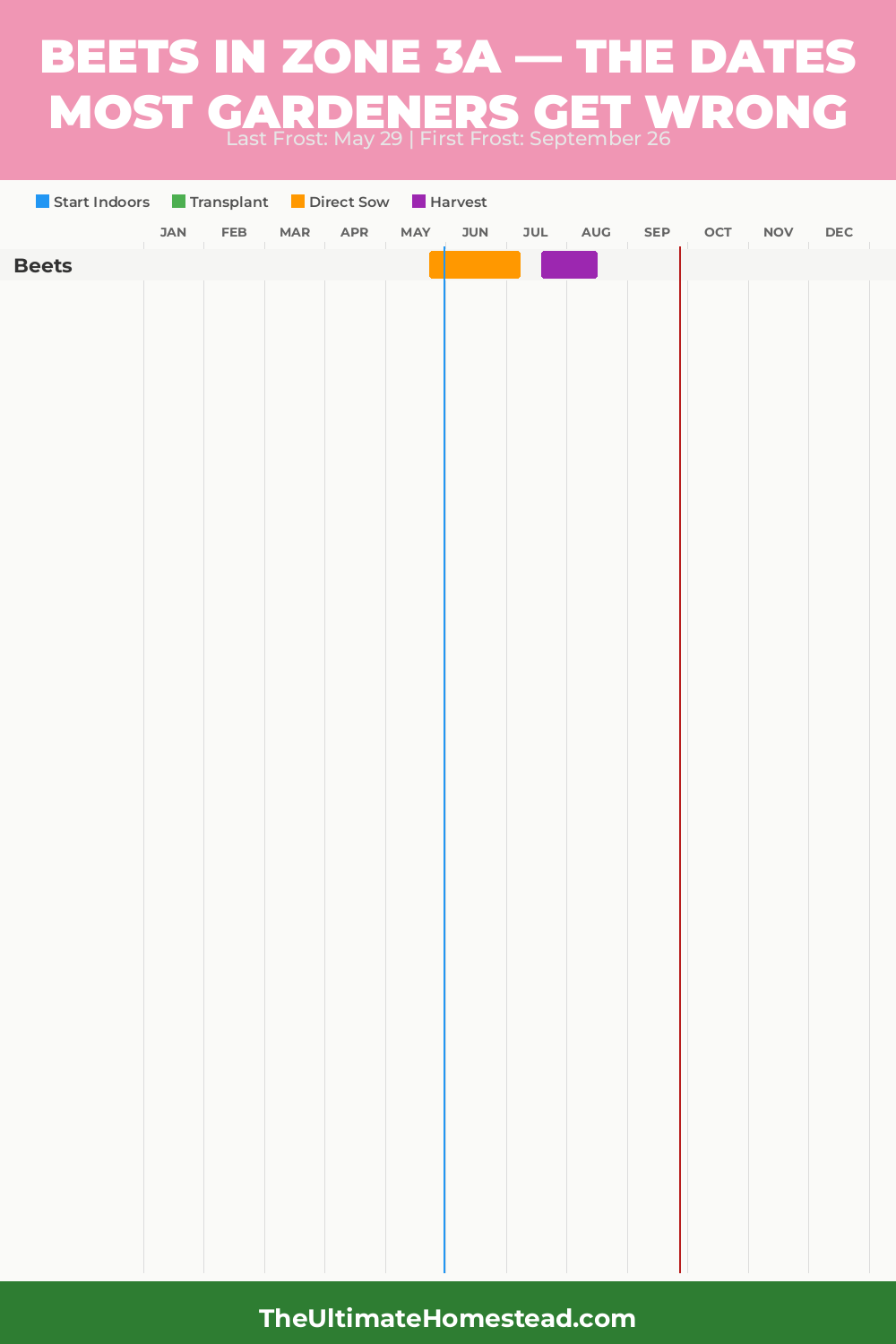 When to Plant Beets in Zone 3a
