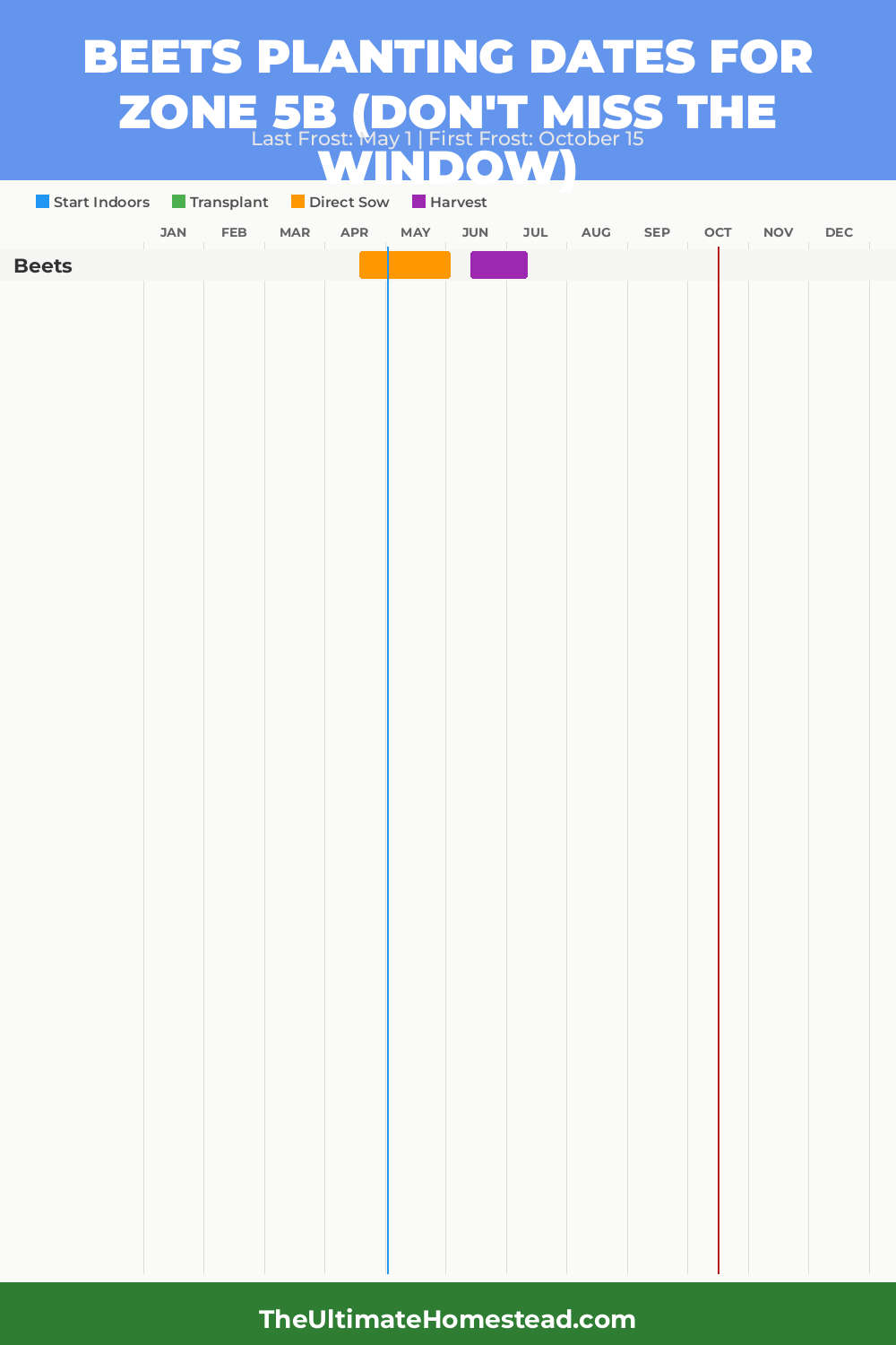 When to Plant Beets in Zone 5b