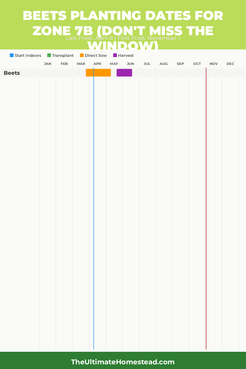When to Plant Beets in Zone 7b