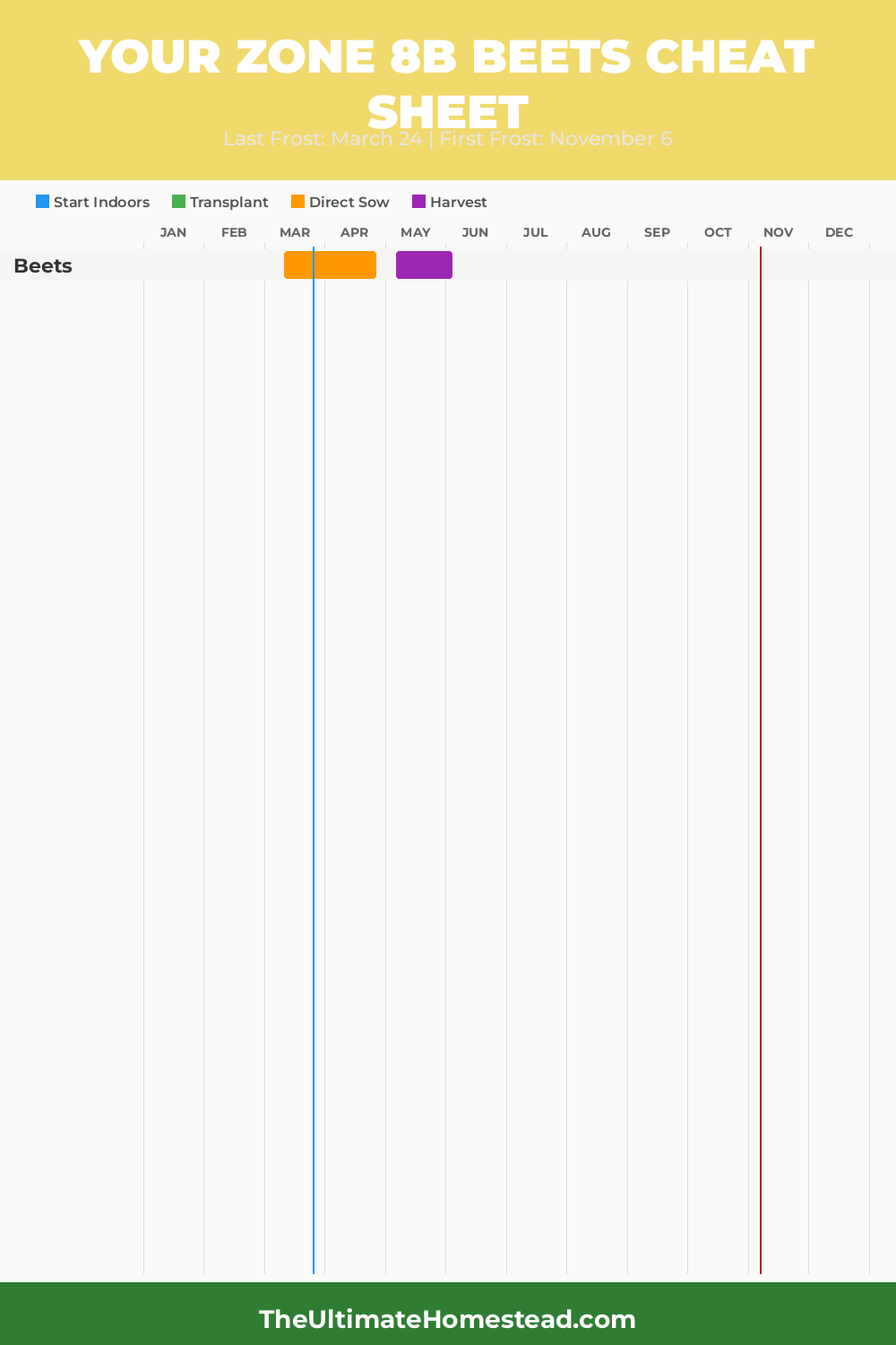 When to Plant Beets in Zone 8b