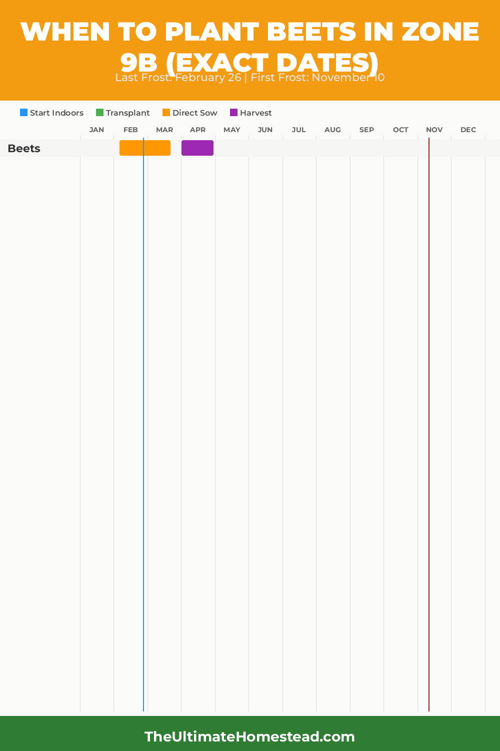 When to Plant Beets in Zone 9b