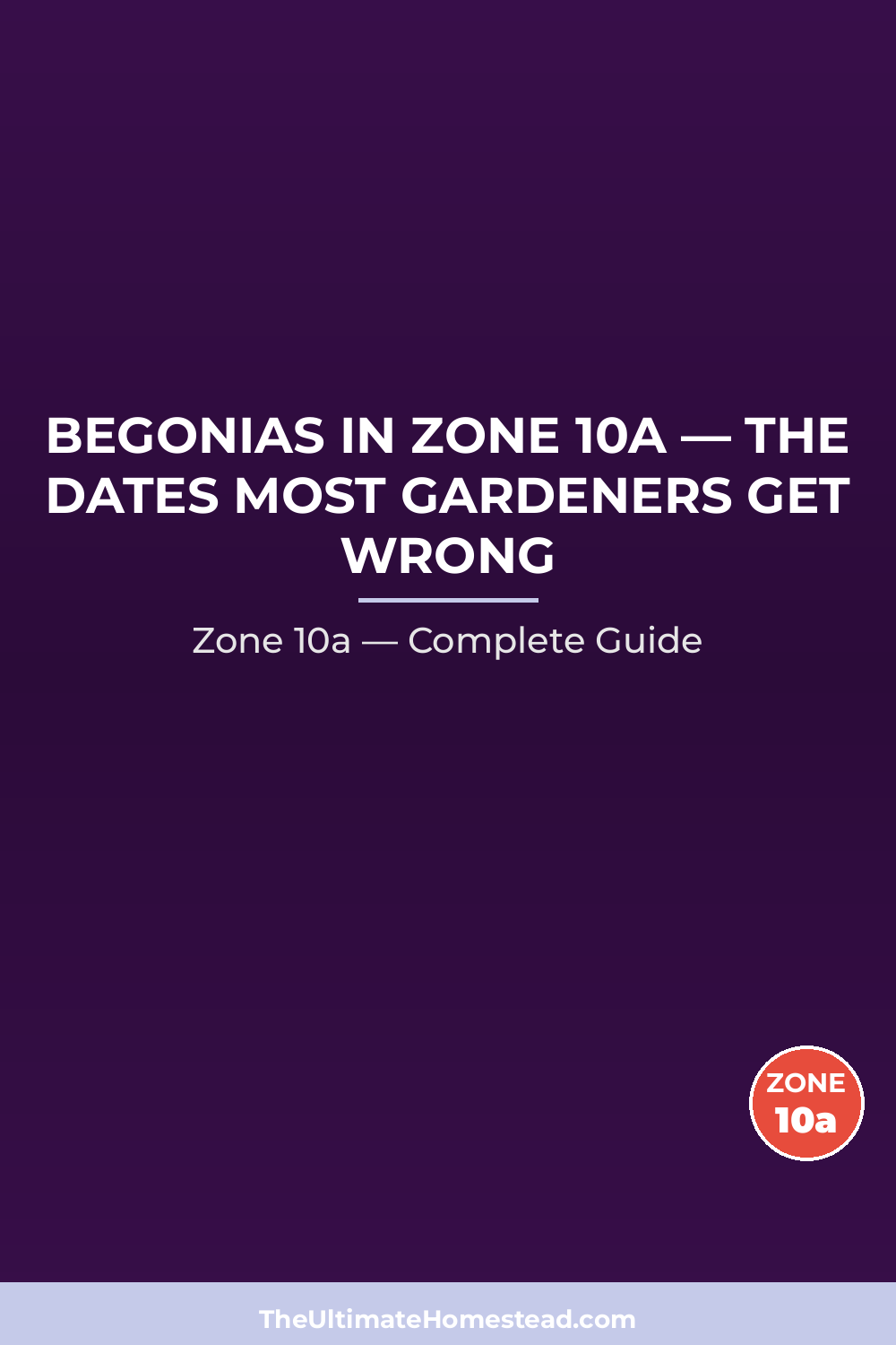 When to Plant Begonias in Zone 10a