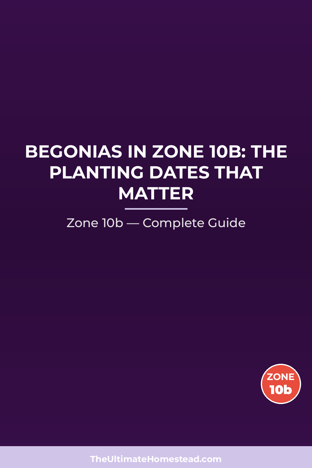 When to Plant Begonias in Zone 10b